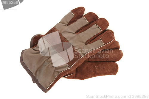 Image of Leather gloves