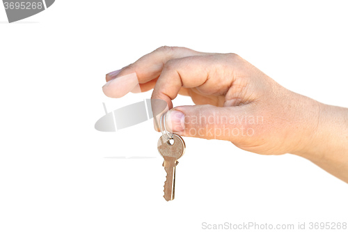 Image of The key on palm