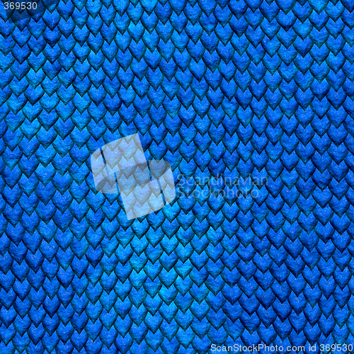 Image of dragonskin