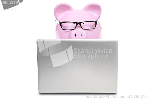 Image of The pink pig and notebook computer