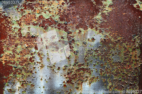 Image of The rust