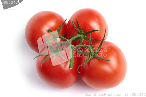 Image of Tomato on white