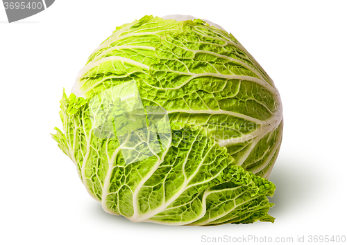 Image of Chinese cabbage top view