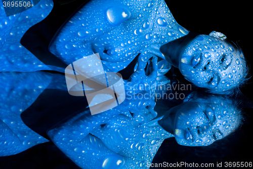 Image of The  body of woman with blue pattern and its reflection