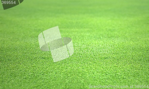 Image of golf green