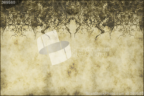 Image of parchment vines