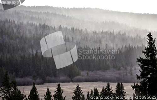 Image of Cypress Hills Alberta Saskatchewan