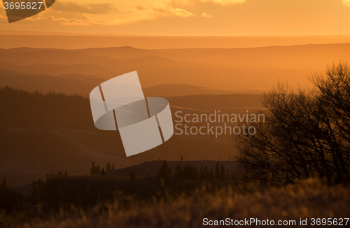 Image of Cypress Hills Alberta Saskatchewan