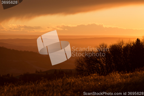Image of Cypress Hills Alberta Saskatchewan