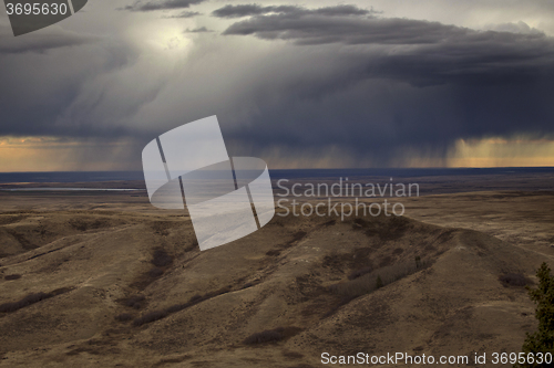 Image of Cypress Hills Alberta Saskatchewan