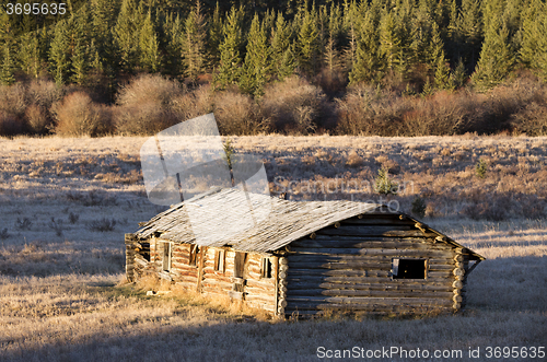 Image of Cypress Hills Alberta Saskatchewan