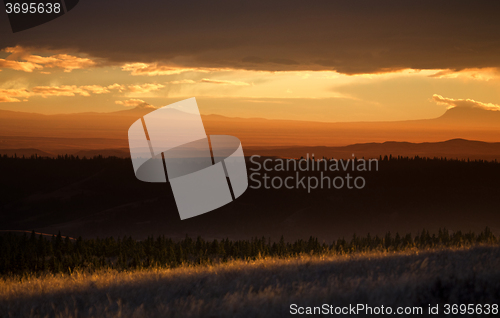 Image of Cypress Hills Alberta Saskatchewan