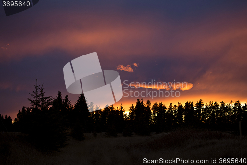 Image of Cypress Hills Sunset