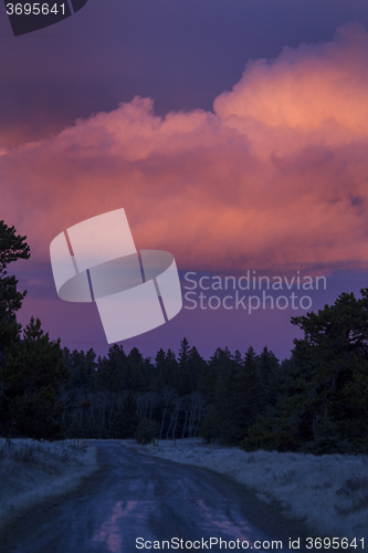 Image of Cypress Hills Sunset
