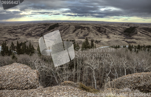Image of Cypress Hills Alberta Saskatchewan