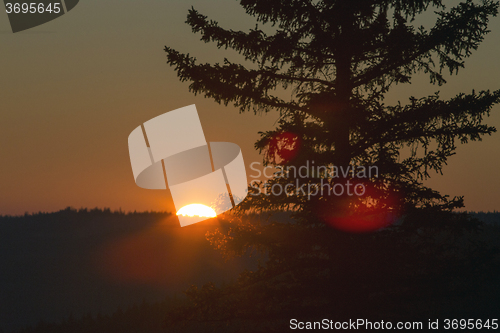 Image of Cypress Hills Sunset