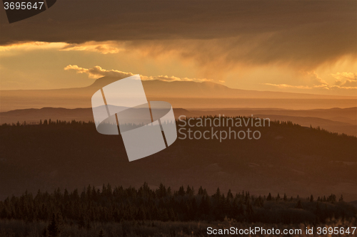 Image of Cypress Hills Alberta Saskatchewan