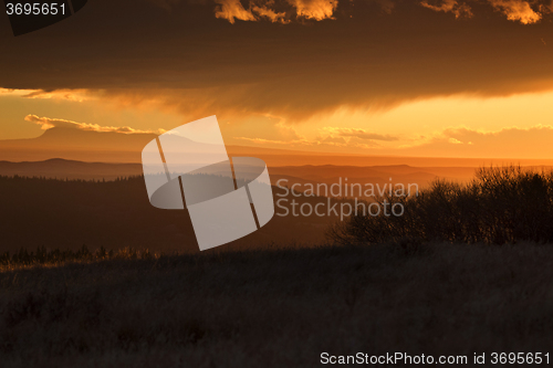 Image of Cypress Hills Alberta Saskatchewan