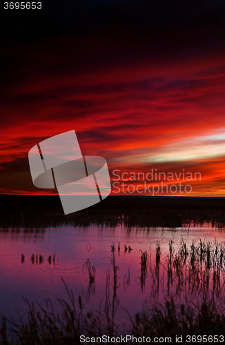 Image of Sunset Rural Saskatchewan