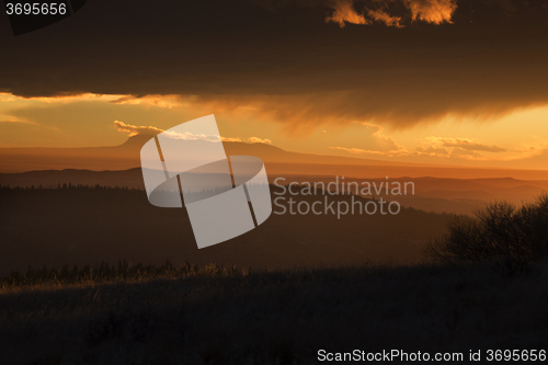 Image of Cypress Hills Alberta Saskatchewan