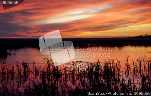 Image of Sunset Rural Saskatchewan