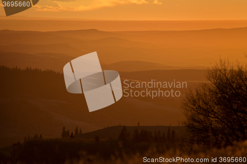 Image of Cypress Hills Alberta Saskatchewan