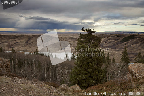 Image of Cypress Hills Alberta Saskatchewan