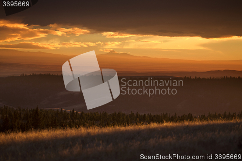 Image of Cypress Hills Alberta Saskatchewan