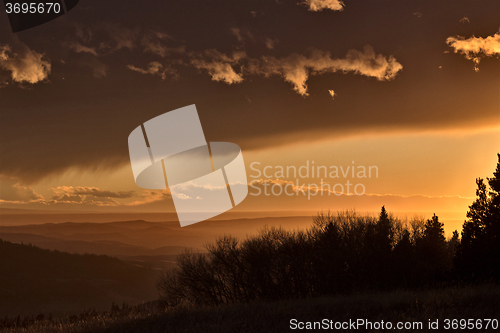 Image of Cypress Hills Alberta Saskatchewan