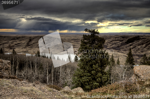 Image of Cypress Hills Alberta Saskatchewan