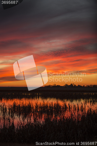 Image of Sunset Rural Saskatchewan