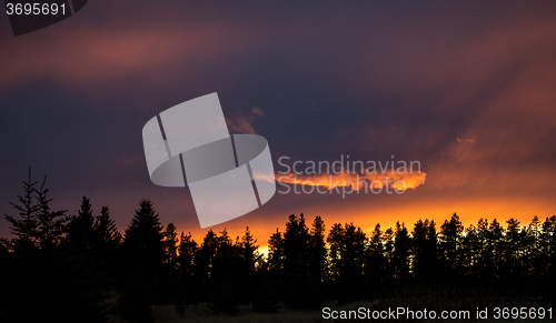 Image of Cypress Hills Sunset