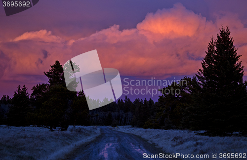 Image of Cypress Hills Sunset