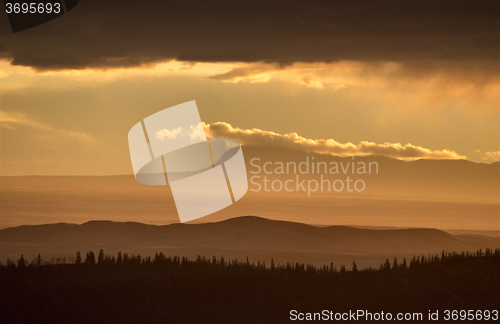 Image of Cypress Hills Alberta Saskatchewan