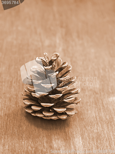 Image of Pine cone on a wooden table