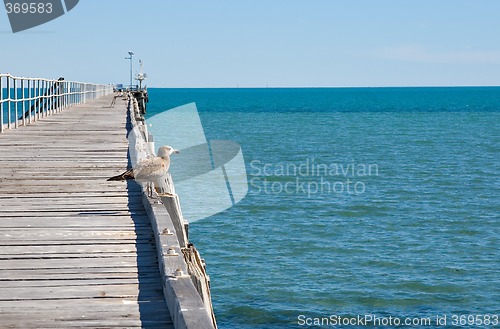 Image of far horizons