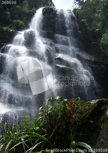Image of Waterfall in Itatiaia