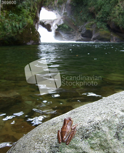 Image of Waterfall in Itatiaia