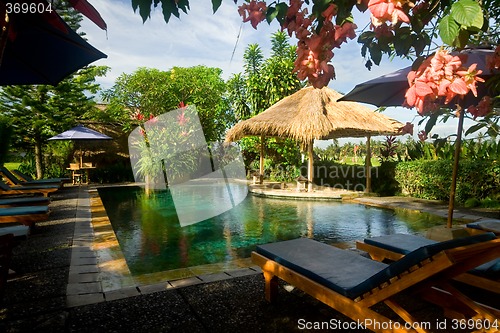 Image of Swimming pool in a tropical resort