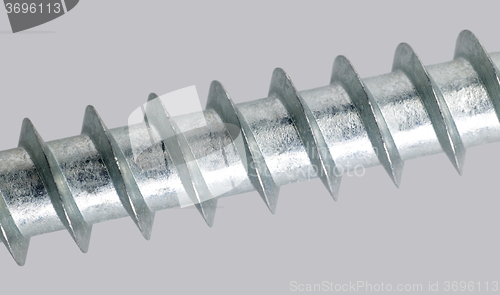 Image of screw detail