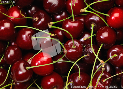 Image of perfect cherries