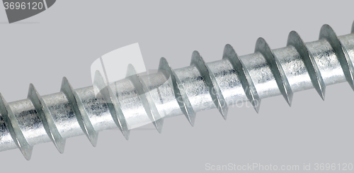 Image of screw detail