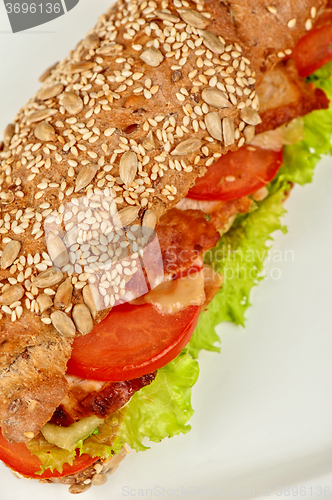 Image of Big sandwich closeup 