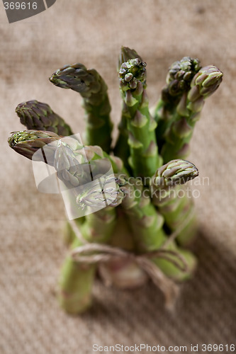 Image of Asparagus