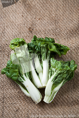 Image of Vegetable