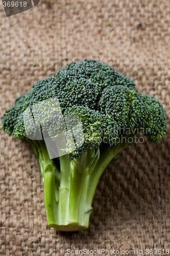 Image of Broccoli