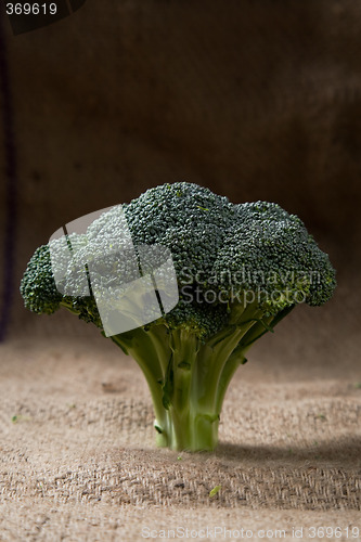 Image of Broccoli