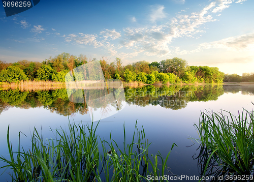 Image of Reflection of forest in river