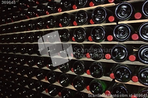 Image of Cellar for sparkling wine