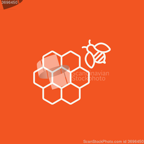 Image of Honeycomb and bee line icon.